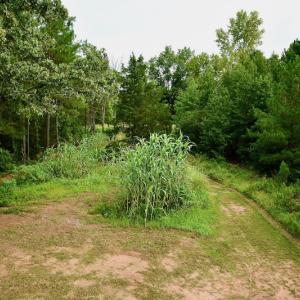 Photo #52 of SOLD property in 46 Dennis Road, Wadesboro, NC 25.2 acres