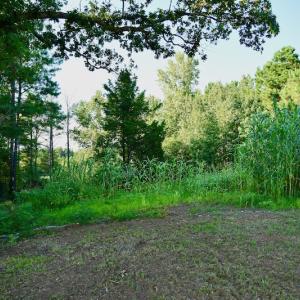 Photo #54 of SOLD property in 46 Dennis Road, Wadesboro, NC 25.2 acres