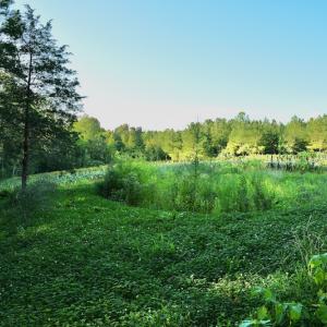 Photo #62 of SOLD property in 46 Dennis Road, Wadesboro, NC 25.2 acres