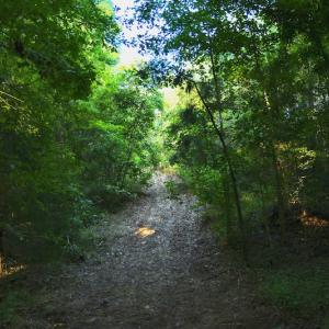 Photo #67 of SOLD property in 46 Dennis Road, Wadesboro, NC 25.2 acres