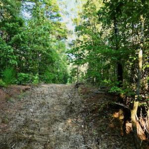 Photo #68 of SOLD property in 46 Dennis Road, Wadesboro, NC 25.2 acres
