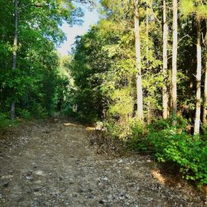 Photo #69 of SOLD property in 46 Dennis Road, Wadesboro, NC 25.2 acres