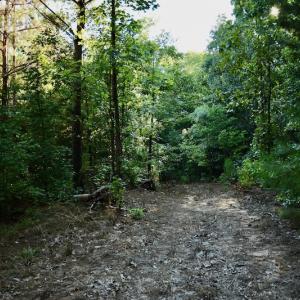 Photo #70 of SOLD property in 46 Dennis Road, Wadesboro, NC 25.2 acres