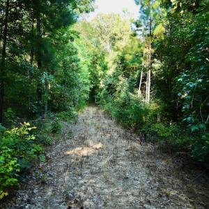 Photo #72 of SOLD property in 46 Dennis Road, Wadesboro, NC 25.2 acres