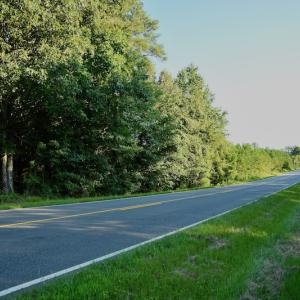 Photo #74 of SOLD property in 46 Dennis Road, Wadesboro, NC 25.2 acres