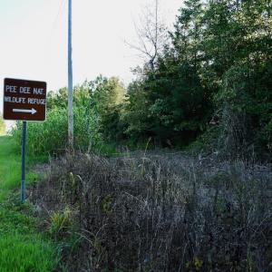 Photo #76 of SOLD property in 46 Dennis Road, Wadesboro, NC 25.2 acres