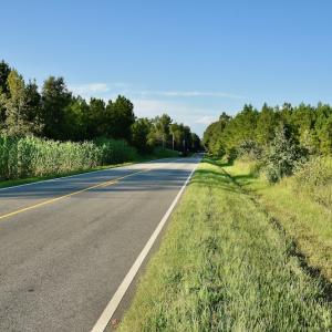 Photo #85 of SOLD property in 46 Dennis Road, Wadesboro, NC 25.2 acres