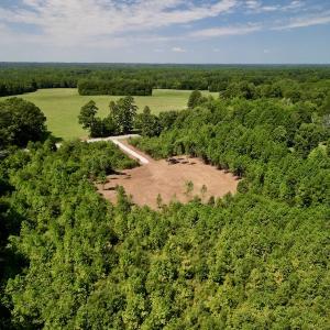Photo #11 of SOLD property in Off Vicksboro Rd, Henderson, NC 11.5 acres