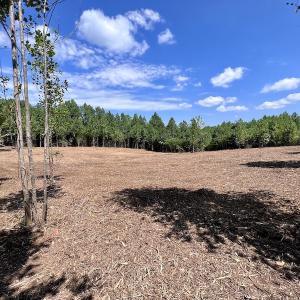 Photo #13 of SOLD property in Off Vicksboro Rd, Henderson, NC 11.5 acres