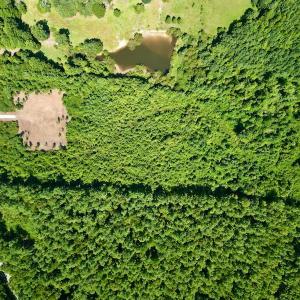 Photo #16 of SOLD property in Off Vicksboro Rd, Henderson, NC 11.5 acres