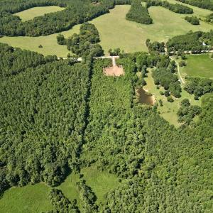 Photo #17 of SOLD property in Off Vicksboro Rd, Henderson, NC 11.5 acres