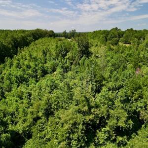 Photo #18 of SOLD property in Off Vicksboro Rd, Henderson, NC 11.5 acres