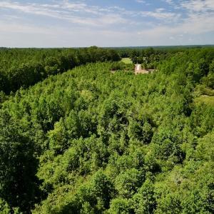 Photo #19 of SOLD property in Off Vicksboro Rd, Henderson, NC 11.5 acres