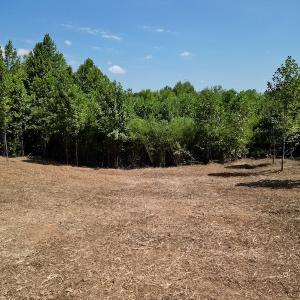 Photo #22 of SOLD property in Off Vicksboro Rd, Henderson, NC 11.5 acres