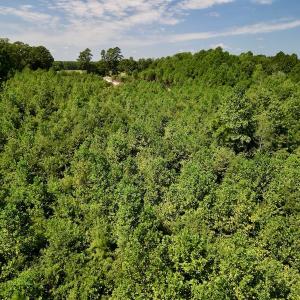 Photo #26 of SOLD property in Off Vicksboro Rd, Henderson, NC 11.5 acres