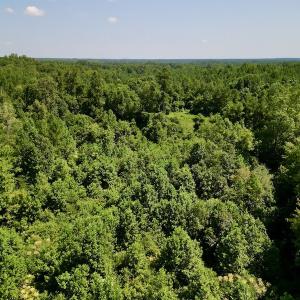 Photo #27 of SOLD property in Off Vicksboro Rd, Henderson, NC 11.5 acres