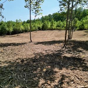 Photo #28 of SOLD property in Off Vicksboro Rd, Henderson, NC 11.5 acres