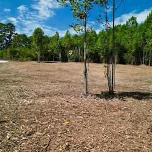 Photo #36 of SOLD property in Off Vicksboro Rd, Henderson, NC 11.5 acres