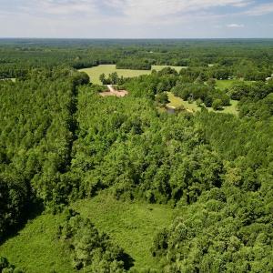 Photo #6 of SOLD property in Off Vicksboro Rd, Henderson, NC 11.5 acres