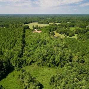 Photo #7 of SOLD property in Off Vicksboro Rd, Henderson, NC 11.5 acres