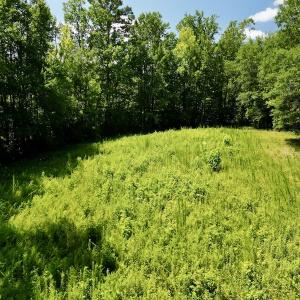 Photo #11 of SOLD property in Off Howell Swamp Church Rd, Walstonburg, NC 18.6 acres