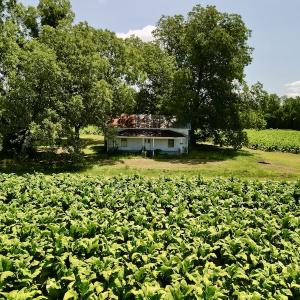 Photo #3 of SOLD property in Off Howell Swamp Church Rd, Walstonburg, NC 18.6 acres