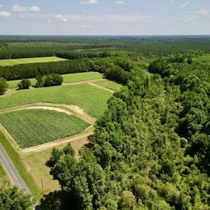 Photo #4 of SOLD property in Off Howell Swamp Church Rd, Walstonburg, NC 18.6 acres