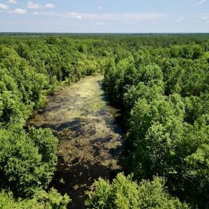 Photo #6 of SOLD property in Off Howell Swamp Church Rd, Walstonburg, NC 18.6 acres