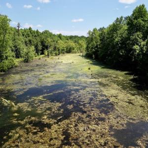 Photo #7 of SOLD property in Off Howell Swamp Church Rd, Walstonburg, NC 18.6 acres