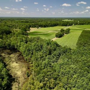 Photo #8 of SOLD property in Off Howell Swamp Church Rd, Walstonburg, NC 18.6 acres