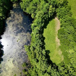 Photo #9 of SOLD property in Off Howell Swamp Church Rd, Walstonburg, NC 18.6 acres