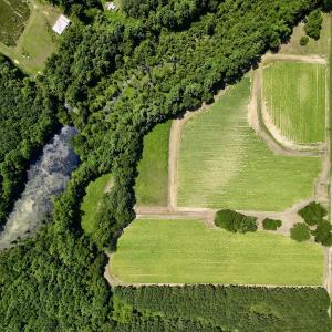 Photo #10 of SOLD property in Off Howell Swamp Church Rd, Walstonburg, NC 18.6 acres