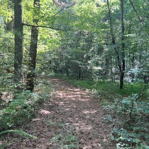Photo #2 of SOLD property in Off Tollie Weldon Road, Henderson, NC 6.5 acres