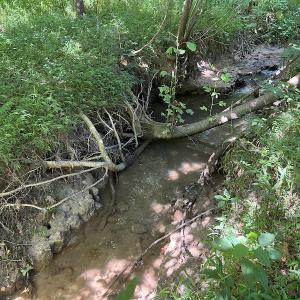 Photo #4 of SOLD property in Off Tollie Weldon Road, Henderson, NC 6.5 acres