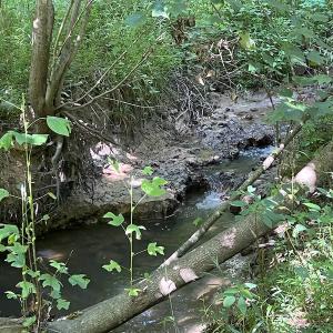 Photo #5 of SOLD property in Off Tollie Weldon Road, Henderson, NC 6.5 acres