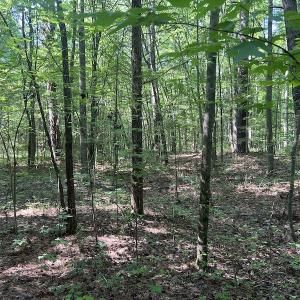 Photo #20 of SOLD property in Off Tollie Weldon Road, Henderson, NC 6.5 acres
