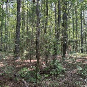 Photo #21 of SOLD property in Off Tollie Weldon Road, Henderson, NC 6.5 acres