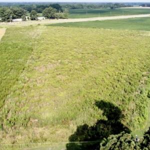 Photo #6 of SOLD property in Off Alexander Brown Road, Bethel, NC 12.8 acres