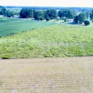 Photo #7 of SOLD property in Off Alexander Brown Road, Bethel, NC 12.8 acres