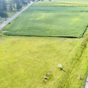 Photo #2 of SOLD property in Off Alexander Brown Road, Bethel, NC 12.8 acres