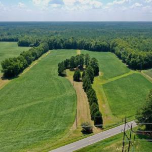 Photo #2 of SOLD property in Off Jackson Bypass, Garysburg, NC 49.9 acres