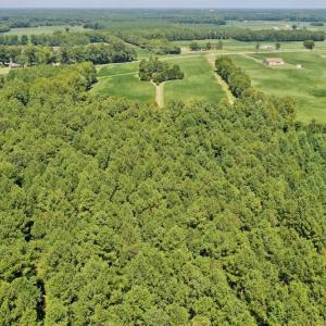 Photo #12 of SOLD property in Off Jackson Bypass, Garysburg, NC 49.9 acres