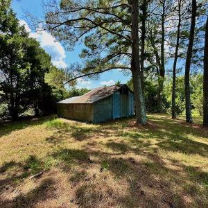 Photo #13 of SOLD property in Off Jackson Bypass, Garysburg, NC 49.9 acres
