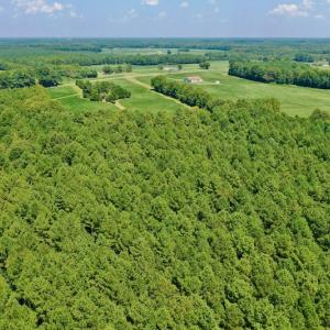 Photo #14 of SOLD property in Off Jackson Bypass, Garysburg, NC 49.9 acres