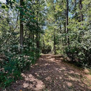 Photo #15 of SOLD property in Off Jackson Bypass, Garysburg, NC 49.9 acres