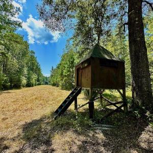 Photo #17 of SOLD property in Off Jackson Bypass, Garysburg, NC 49.9 acres