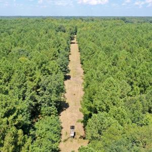 Photo #18 of SOLD property in Off Jackson Bypass, Garysburg, NC 49.9 acres