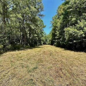 Photo #19 of SOLD property in Off Jackson Bypass, Garysburg, NC 49.9 acres