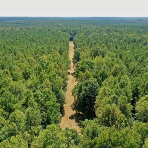 Photo #20 of SOLD property in Off Jackson Bypass, Garysburg, NC 49.9 acres