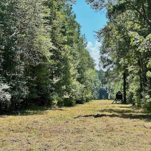 Photo #21 of SOLD property in Off Jackson Bypass, Garysburg, NC 49.9 acres